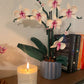 Bouquet Orquidea