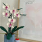 Bouquet Orquidea