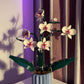 Bouquet Orquidea